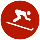 Ski